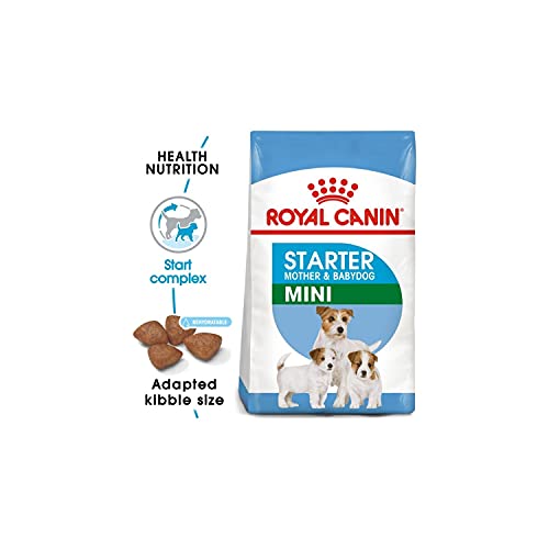 royal canin starter amazon