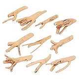 POPETPOP 10pcs Natural Coral Driftwood for Aquariums Unique Driftwood Branches for Fish Tanks Reptile Habitats Lightweight Decorative Aquarium Decor
