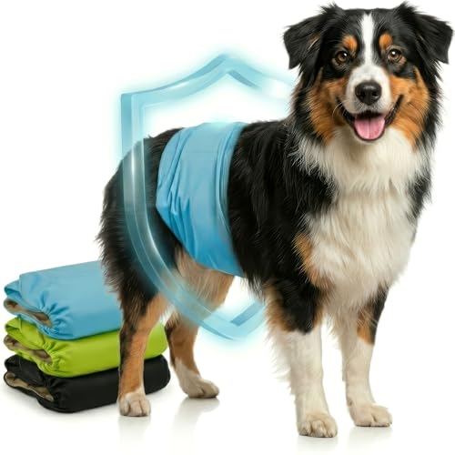HUND IST KÖNIG Hundewindeln für Rüden [3 STK] Saugstarke Hundewindeln Rüde | Bequeme Hunde Windeln bei Inkontinenz Hund - Umweltfreundliche Rüdenwindel waschbar | Hundewindel leicht zu reinigen