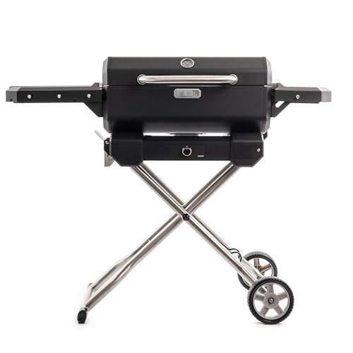 Masterbuilt Portable Charcoal Grill