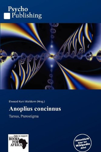 Anoplius concinnus: Tarsus, Pterostigma