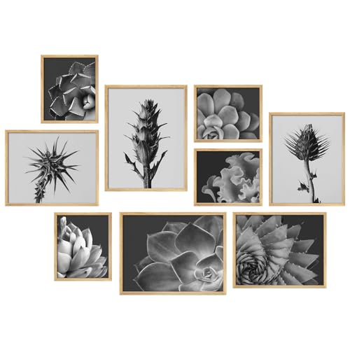 SIGNWIN Black And White Botanical Set