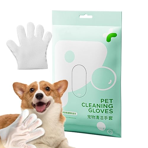 pN[jO܁AybgpĝĎ pELp hCN[jOELEp̂ӂ p 6ZbgBpӂ,pܐ@􂢗Ȃ̌pӂ - ybgEHbVt[AN[jOO[~OA