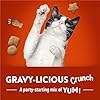 Purina Friskies Party Mix Gravy-Licious Crunch Chicken and Gravy Flavors Cat Treats - 30 oz Canister #1