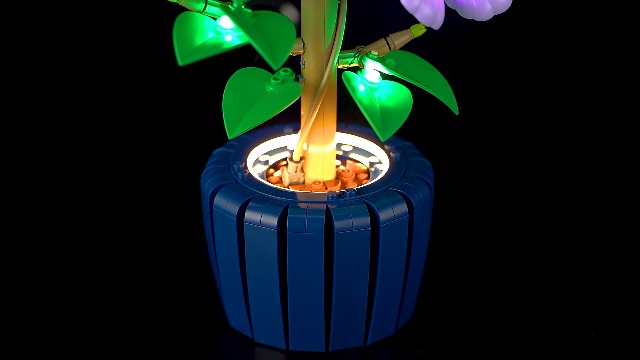 GEAMENT Set di Luci LED Compatibile Con LEGO Ibisco (Hibiscus) Botanical Collection 10372 (Modello di mattoncini non incluso