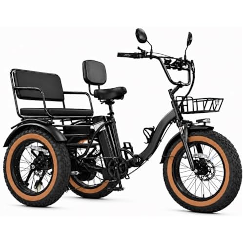 KAKIGO Electric Tricycle for Adults,750W Motor Etrike,48V15.6Ah Ebike,20"x4"Fat Tire Folding Electric Trike,3-Wheel Electric Bike,19MPH,Differential