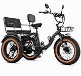 NOMIGO Two-Seater Electric...image
