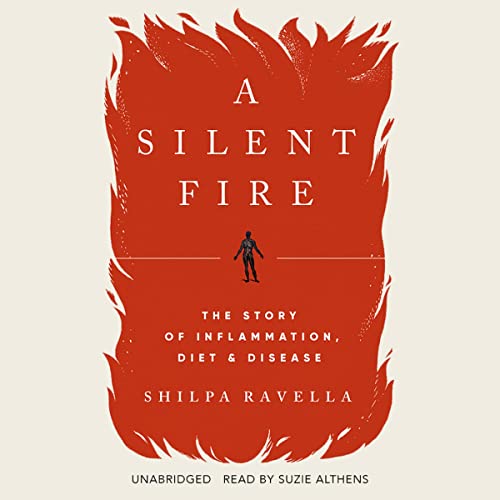 A Silent Fire by Shilpa Ravella episode artwork
