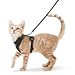 rabbitgoo Cat Harness and Leash for Walking, Escape Proof Soft Adjustable Vest Harnesses for Cats, Easy Control Breathable Reflective Strips Jacket, Black, XS