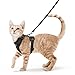 rabbitgoo Cat Harness and Leash for Walking, Escape Proof Soft Adjustable Vest Harnesses for Cats, Easy Control Breathable Reflective Strips Jacket, Black, XS