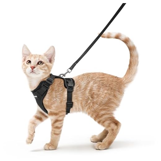 rabbitgoo Verstellbares Katzengeschirr Set