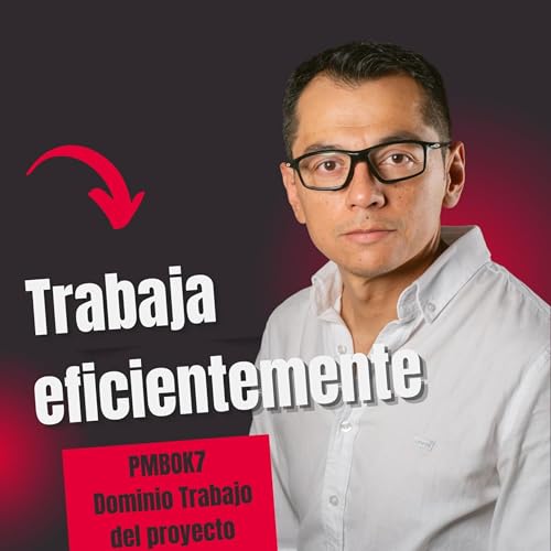 E79 PMBOK7 Dominio de desempe&ntilde;o del trabajo del proyecto