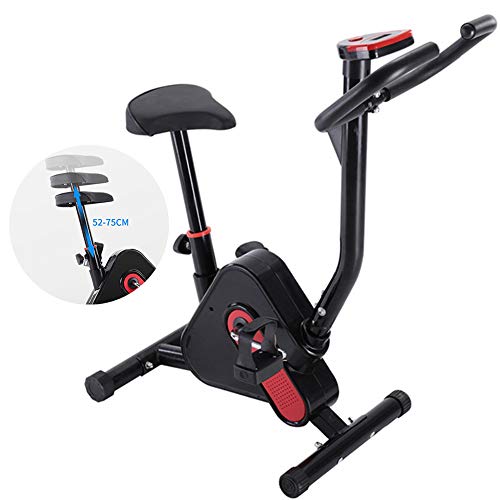 Vélo appartement magnétique F-Bike pour perdre du poids avec réglage d'intensité de cardio