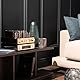 Madison MAD-CD10 FM Tuner UND CD Player Surround Sound TV Stereo Event Musik BESCHALLUNGSANLAGE