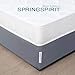 Box Spring Cover Queen Size, Alternates for Bed Skirt, Smooth and Elastic Woven Material Wrap Around 4 Sides of The Box Spring, Wrinkle & Fading Resistant, Washable, Dustproof, Gray