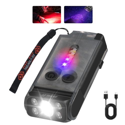 Lampe de poche UV pour inspecter et bricoler avec clip porte-clés aimanté