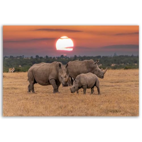 Hexoa Tableau rhinocéros en Famille au Coucher du Soleil - Made in France - 60x40