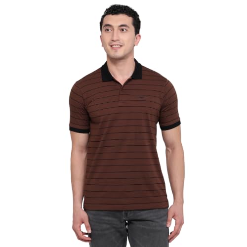 Image of Park Avenue Men Slim Fit Stripe Pattern Pure Cotton Polo Neck Half Sleeve Casual T-Shirt