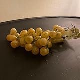 フランスアンティーク フェイクフルーツ