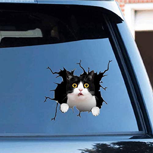 Zpahq Esmoquin - Calcomanía para coche de gato, vinilo 3D, impermeable, para pared, laptop, ventana, camión, parachoques, refrigerador, 11.8 x 11.8 pulgadas