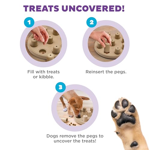 Nina Ottosson por Outward Hound Dog Smart Beginner Dog Puzzle Toy – Jogo de distribuição interativo