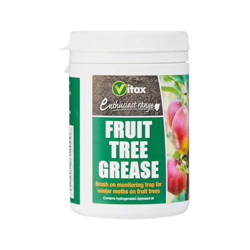 Vitax Fruit Tree Grease 200g – Protects Fruit Trees from Pests, Diseases & Winter Damage – Ideal for Apples, Pears, Plums, Cherries & More – Effective Insect Barrier Suitable For Organic Gardening
