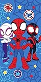 Ein toller dekorativer Fanartikel von der Serie Spider-Man mit deinen Lieblings-Helden . Dieses Kinderhandtuch eignet sich sehr gut als Geschenk zum Kinder Geburtstag, Jahrestag, Zeugniss, Weihnachten, als Mitgebsel oder nur mal so, für zwischen durch!