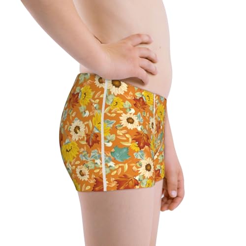 Boys' Cotton Boxer Brief Soft Underwear-Daisy Maple Fall2