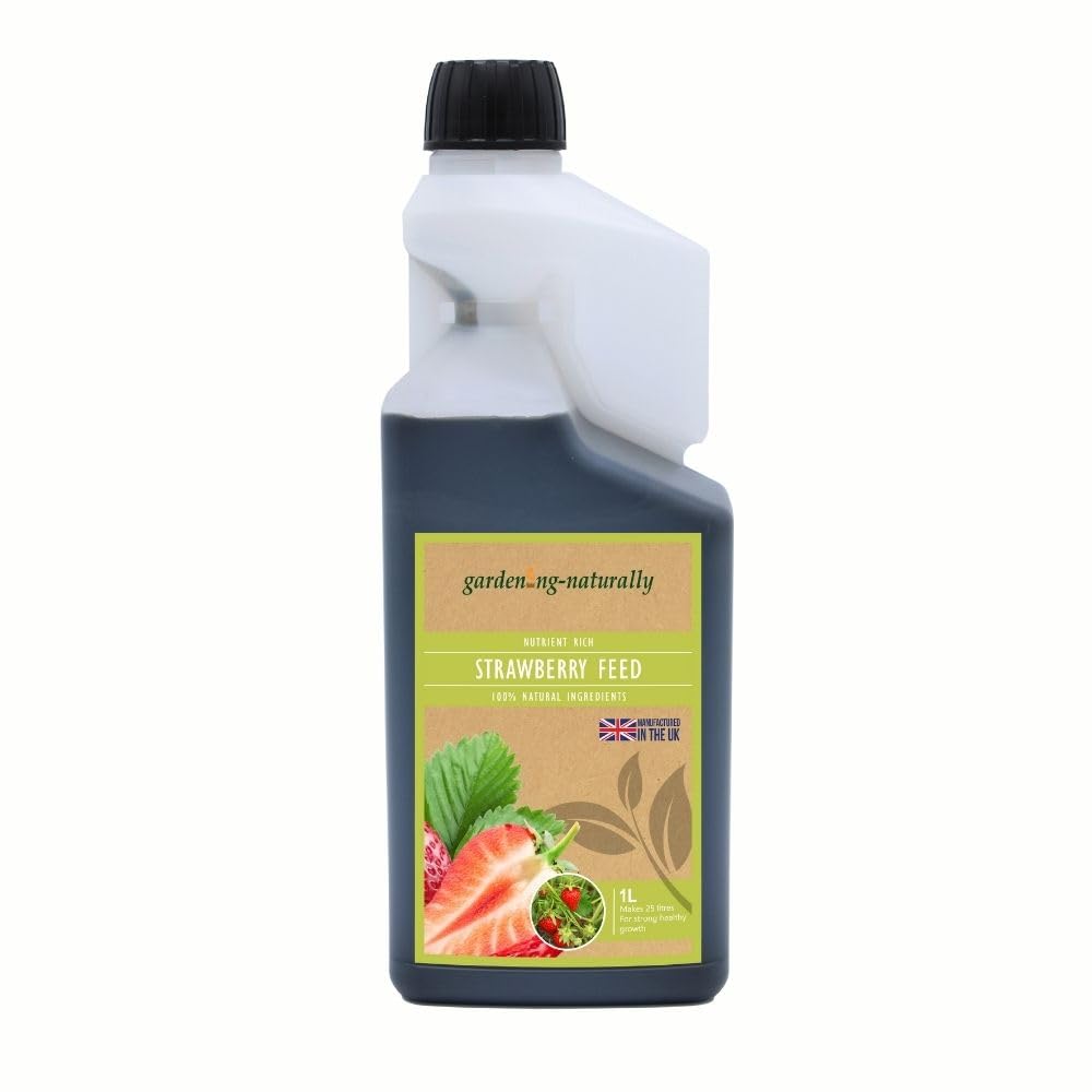 Organic Strawberry Feed Fertiliser for Strawberry Plants 1 Litre Makes 25 Litres of Food