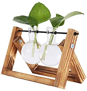 Takefuns Hydroponic Vase Glass Planter Bulb Vase Desktop Glass Planter Vase with Retro Wooden Stand Propagation Stations for Hydroponics Plants Office Desk Wedding Decor