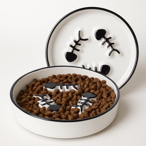 TRUNDISAN 2-Pack Ceramic Cat Slow Feed Bowls