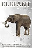 Elefant: Wissenswertes über Zootiere für Kinder #7