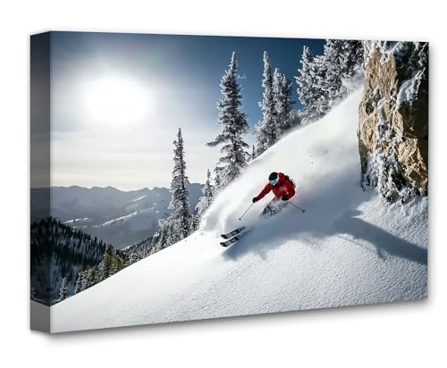 I Own the Mountain Downhill Skier Photo 16x20 Stretched Canvas