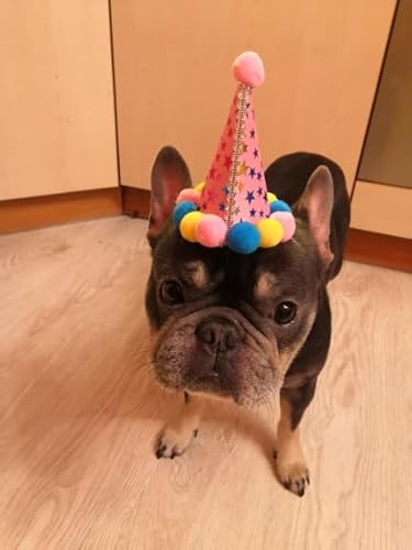 Fantasia Para Cachorro Chapéu Aniversário Festa Para Pets Cães Gato (Rosa)