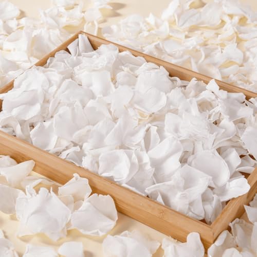 1000+Pcs Dried Real White Rose Petals Freeze Preserved Flower Petals 8.47oz for Valentines Day Gifts Wedding Party Decor Flower Girl Dinner Table Centerpieces Bridal Shower Flower Confetti 240g