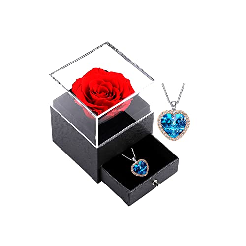 xuehaostore Rosa Eterna con Collana, Portagioie a Fiore Conservato, Regalo di Gioielleria per Donna Regalo di Compleanno/Natale/di San Valentino (Gold-blue)