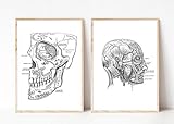 Din A4 Kunstdruck ohne Rahmen 2-teilig Anatomie Schädel Kopf Mensch Skelett Medizin Arzt Druck Poster Bild