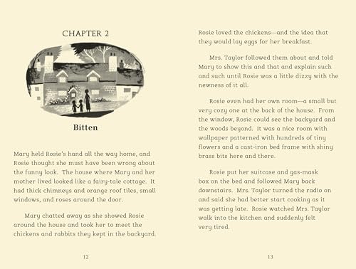 Still Water (Everyone Can Be a Reader (Middle Grade S) - Image 3