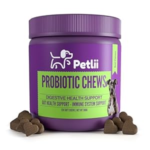 Petlii PROBIOTIC CHEWS – dog probiotics for gut health – digestive enzymes for dogs – Improve digestion, reduce diarrhea, itching and discomfort and eliminate foul odours. 120 Chews per tub