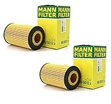 Pair Set of 2 Engine Oil Filters For C216 C209 W219 S211 X164 V221