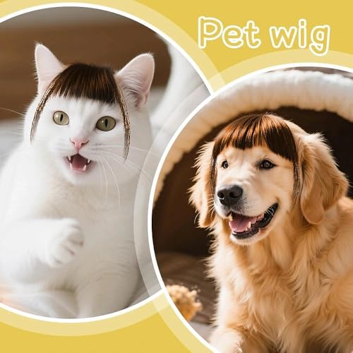 Peluca divertida para perros y gatos cosplay miniatura 5