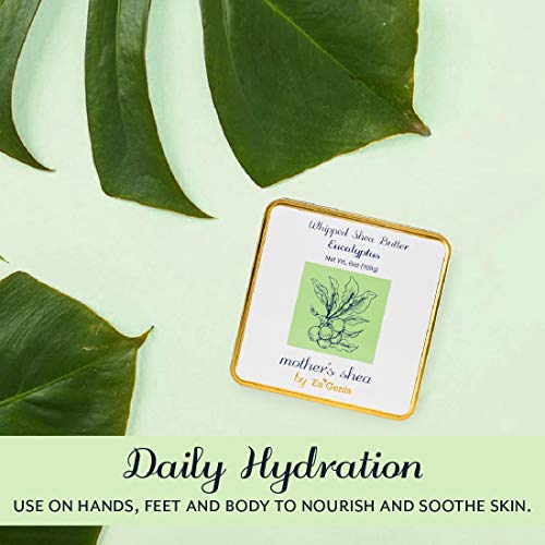 Mother's Shea Whipped Shea Butter (Eucalyptus, 6 Oz Tin) 100% Pure Raw Unrefined African Shea - Organic, Sustainably-Sourced Ingredients - Natural Skin & Hair Care #TOP4