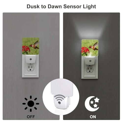 Image of Spring Hummingbird Night Light Set of 2, Red Flowers Auto Sensor LED Dusk-to-Dawn Nightlights, Plug-in Sensor Lamp for Bedroom Bathroom Kitchen Hallway Stairs Decorative