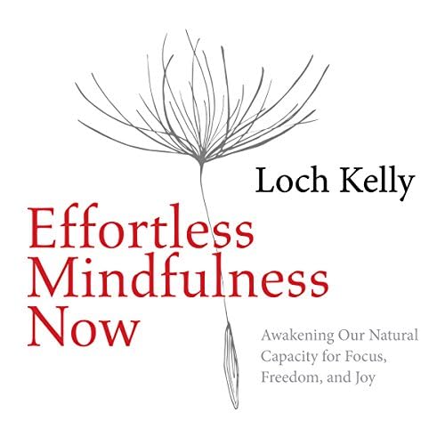 Effortless Mindfulness Now - Loch Kelly