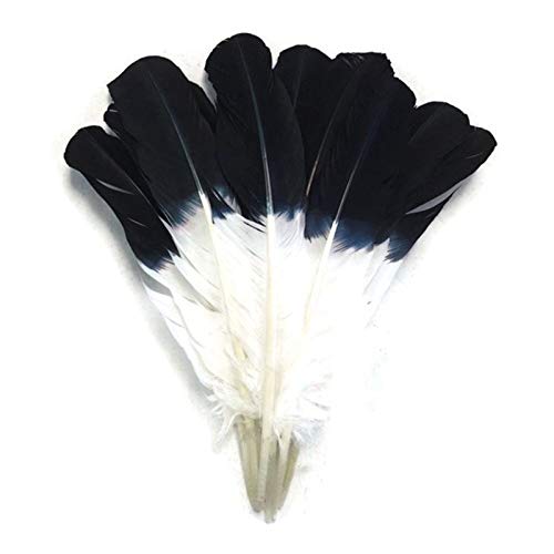 Plumes Pour Flèches Carbone Bois Plumes Pour Tir A L'arc SHARROW 50pcs Tir à L'arc Plume De Flèche 5 Pouces Plumes Naturelles De Dinde Fletching Pour Tir à L'arc Chasse (Blanc Plumes