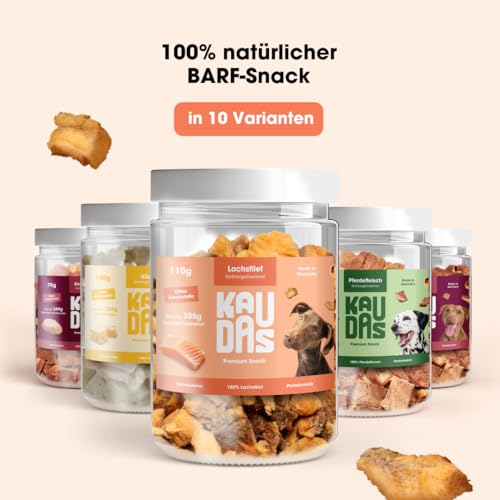 KAUDAS LachsPur Natursnack – 5 x 50 g gefriergetrocknetes Lachs Leckerli Hund mit hohem Proteingehalt & Omega-3, 100% natürlicher Hundesnack 550 g Rohgewicht – ohne Zucker, Getreide & Zusatzstoffe