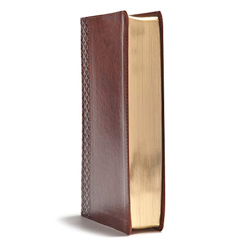 CSB Everyday Study Bible, British Tan Leathertouch: Black Letter, Study Notes, Illustrations, Aricle