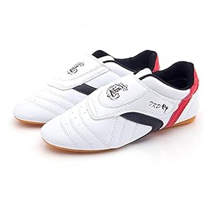 Taekwondo Schoenen, Unisex Comfortabele Lichte Taekwondo Kung Fu Tai Chi Sport Gymschoenen (Color : White, Size : 41 EU)