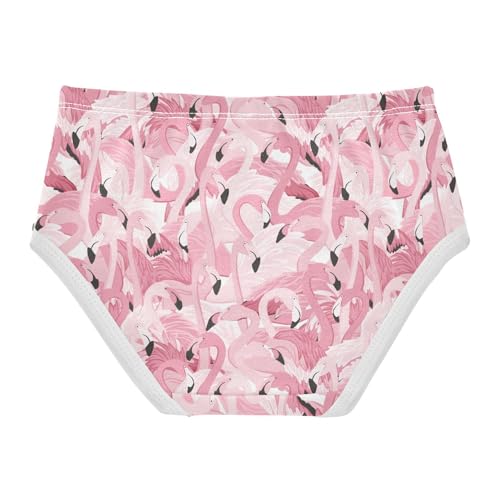 Girls Underwear Soft Cotton Flamingo Kids Panties in Sizes 2/3t, 4t, 5t, 6 and 82
