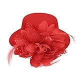 Song Qing Flower Decor Hair Clip Feather Fascinator Burlesque Mini Top Hat for Women Lady (Red)